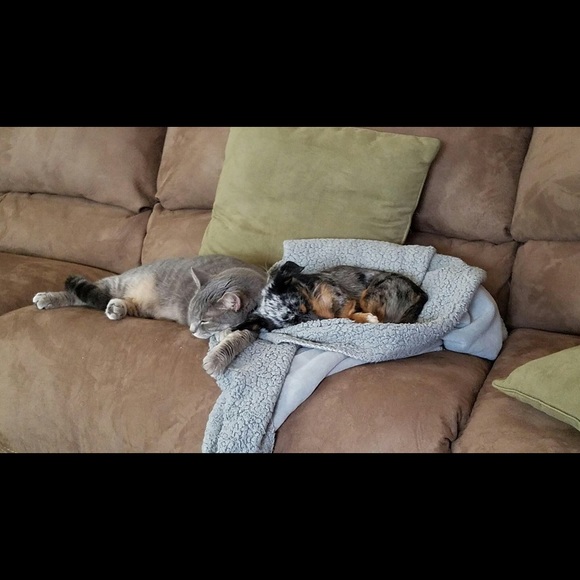 Meet your Posher, Taylor - Picture 4 of 4